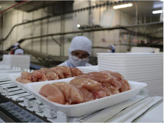 Emirados Árabes querem atrair empresas de alimentos do Brasil 