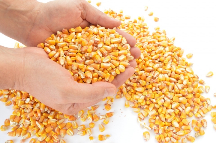 China terá que aumentar importação de grãos até 2021/2022