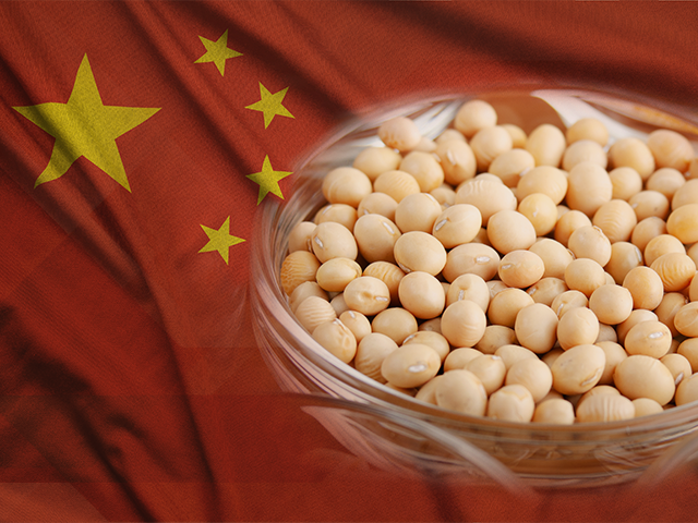 China pretende exigir soja de melhor qualidade do Brasil