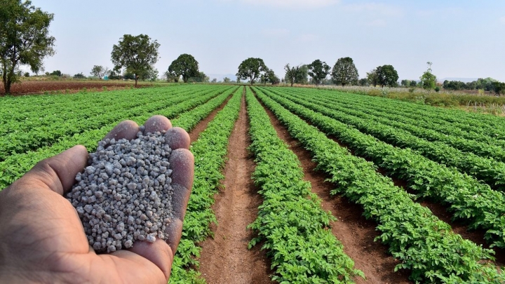 Fertilizantes: pesquisadores defendem adubo alternativo para enfrentar crise