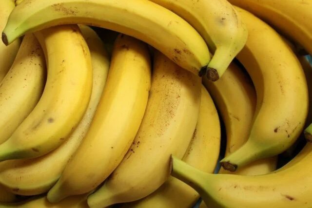 Projeto quer melhorar qualidade da produção de banana