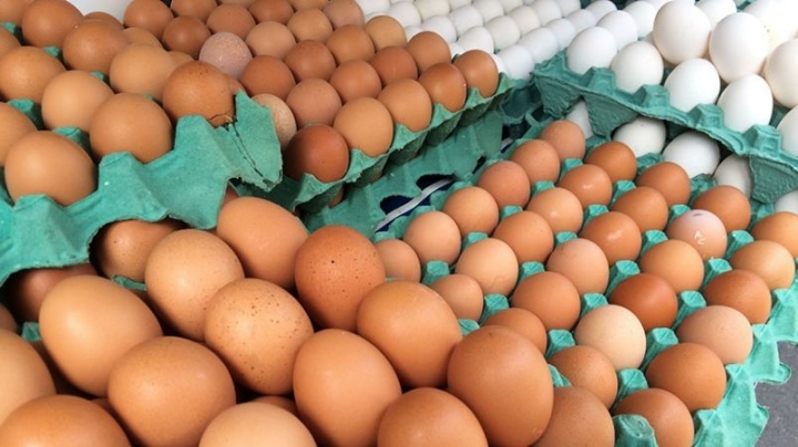Brasil não vai enfrentar escassez de ovos, afirma ABPA