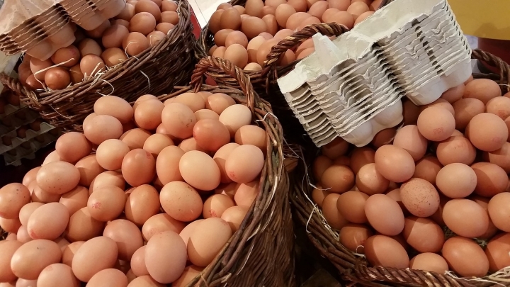 Mercado de ovo caipira ganha destaque entre produtores