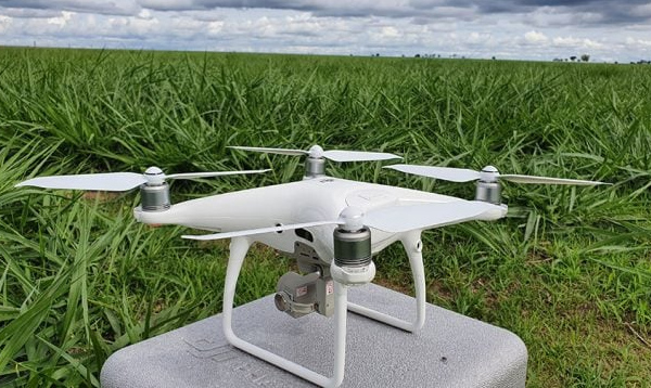 Drones garantem 66% de precisão no monitoramento de pastagens